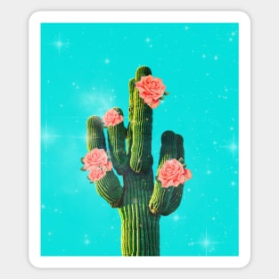 Shine Cactus Sticker